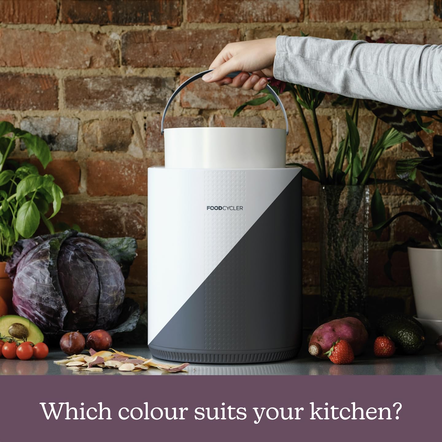 FoodCycler Eco 3
